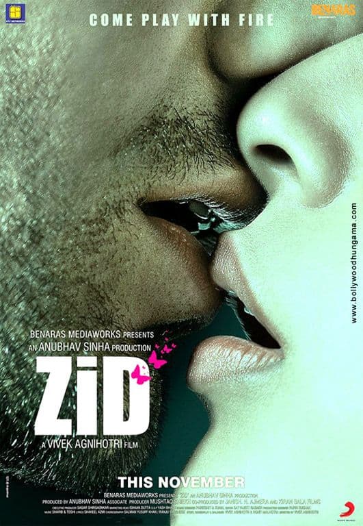 18+ Zid | RTALLY18